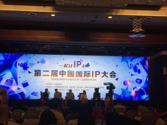 第二届中国国际IP大会 翱翔在IP的生态圈 