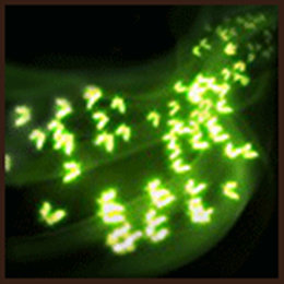 细读武侠世界的蜀中唐门技能