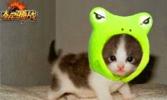 请叫我宝宝 65手游《全民骑战》萌宠大搜罗