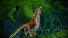 怪物猎人OL新手速成指南 实用新手攻略