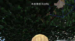 杏树怎么种 创造世界手游杏树种植攻略分享