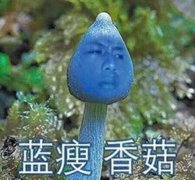 香菇蓝瘦是什么？虎牙直播球球大作战主播撩妹