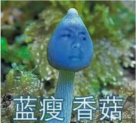 不让你蓝瘦的《萌娘契约》怎么会舍得你香菇