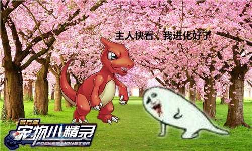 进化！论《宠物小精灵》小火龙成长心路历程