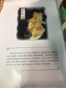 《轩辕剑》年初频爆料，轩粉等ta等了17年